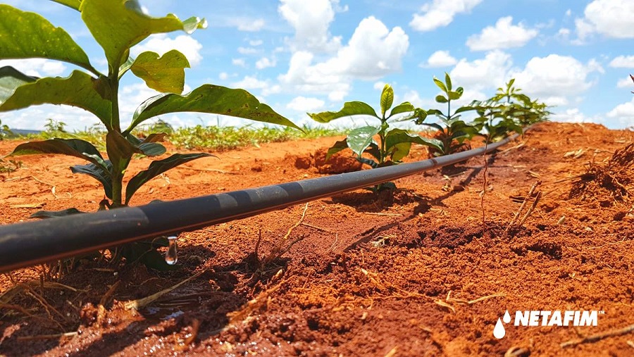 empresa israelí Netafim