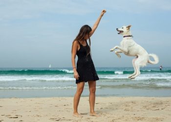 países más felices