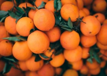 robot naranjas cítricos