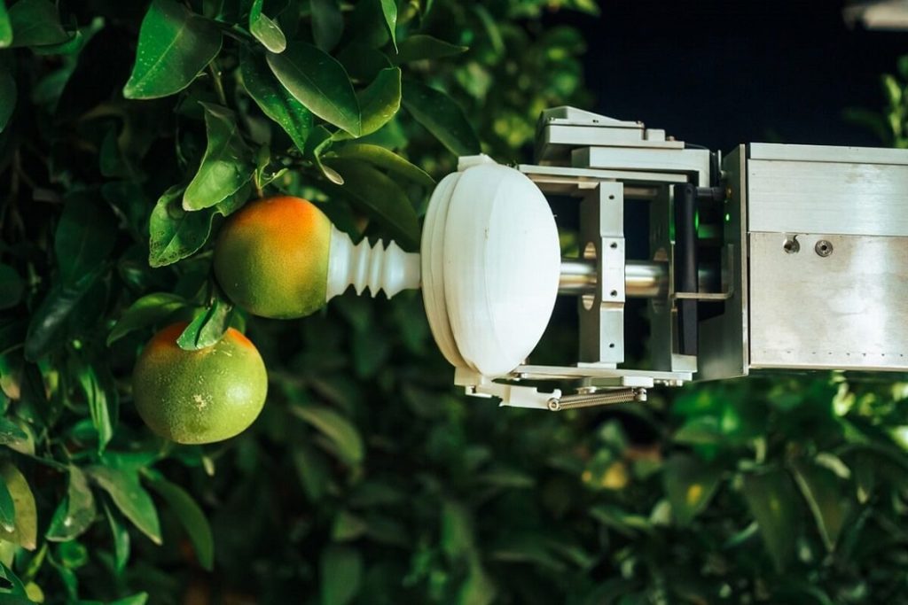 robot naranjas