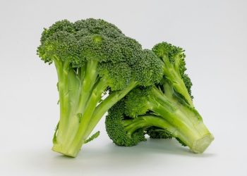 más verde brócoli broccoli