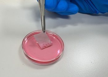 Israel piel artificial