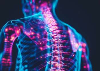 Representación conceptual de un cuerpo humano con sistema nervioso, ilustrando investigación en Israel sobre implantes neuronales para revertir la parálisis