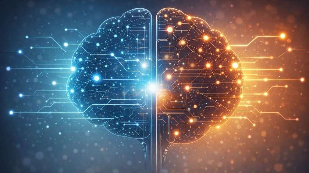 Ilustración conceptual de un cerebro híbrido que combina procesos del cerebro humano y redes de inteligencia artificial